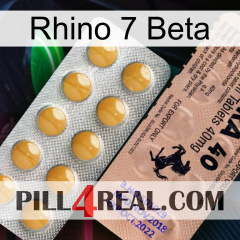 Rhino 7 Beta 41